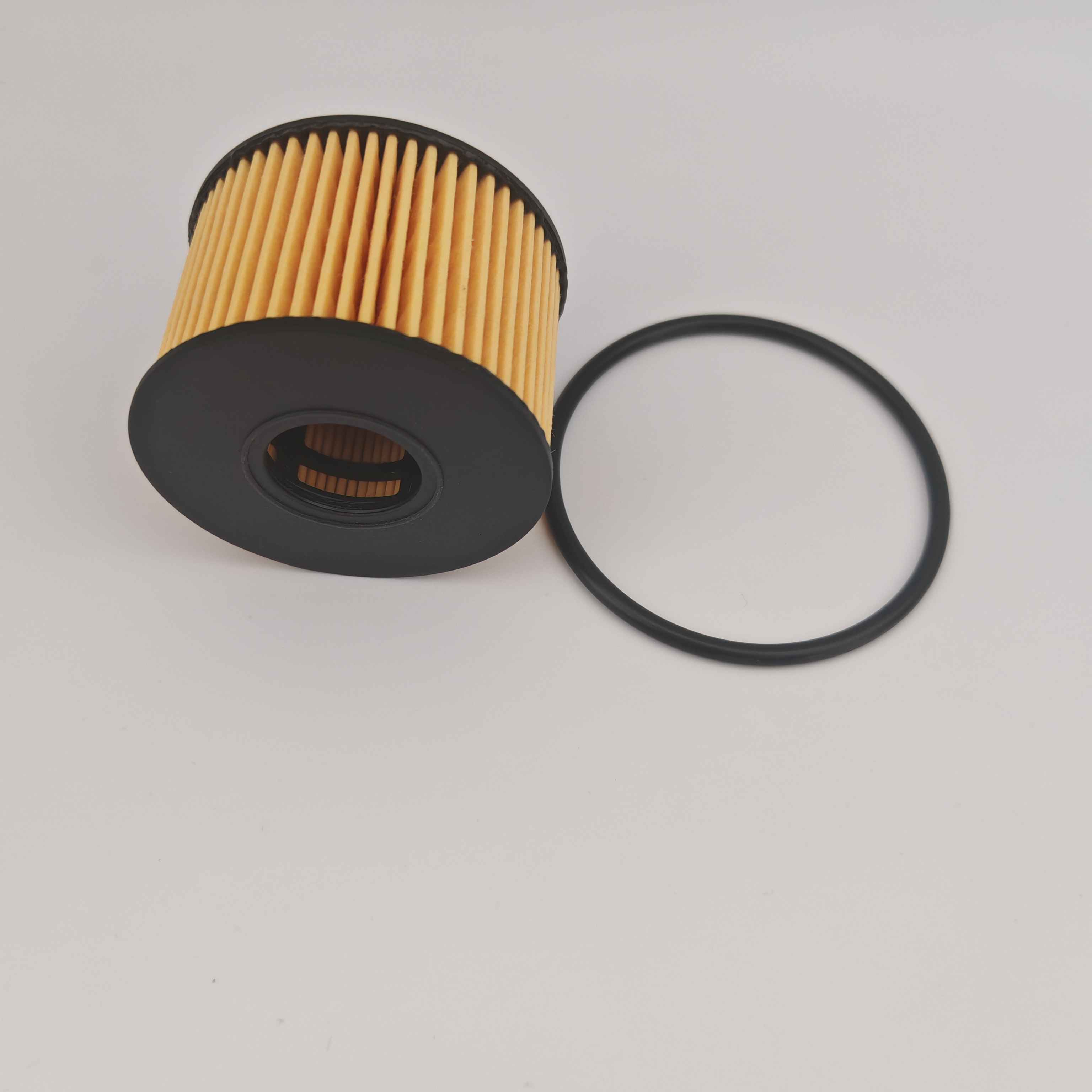 Ms1-6744-AA OX1243D Foh5013 តម្រងប្រេងសម្រាប់ JMC